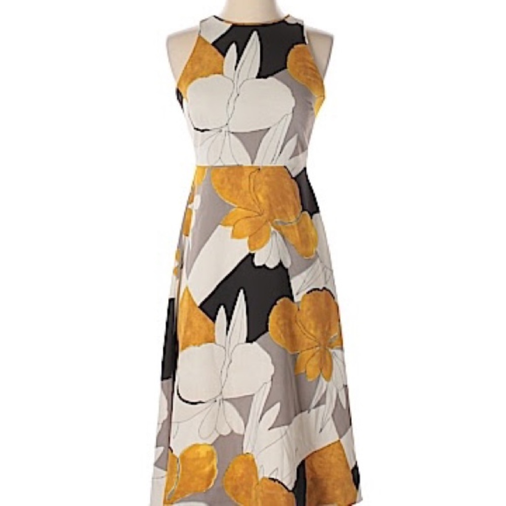 Ann Taylor Dress